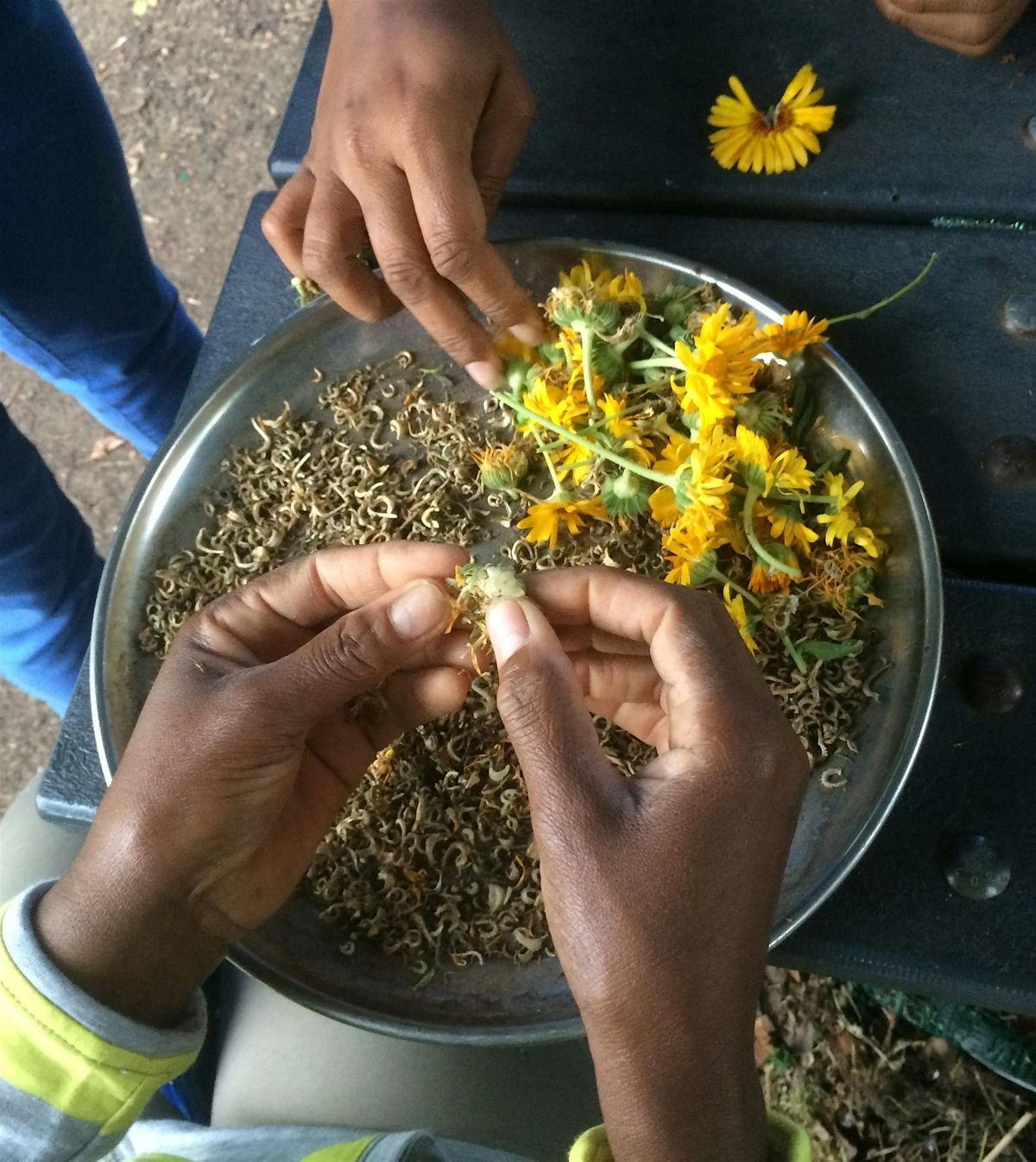 Soil Health Workshop: Preparing Your Farm and Garden for Winter