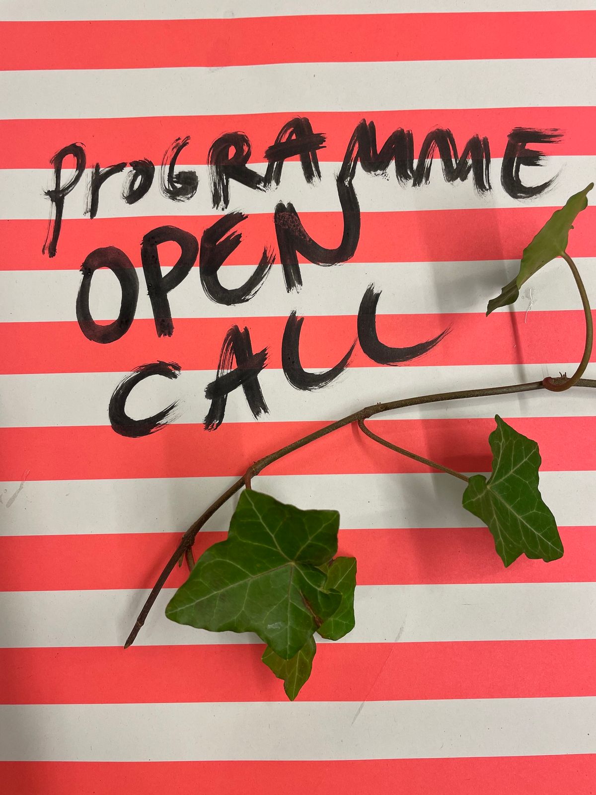 Open call - programf\u00f6rslag 