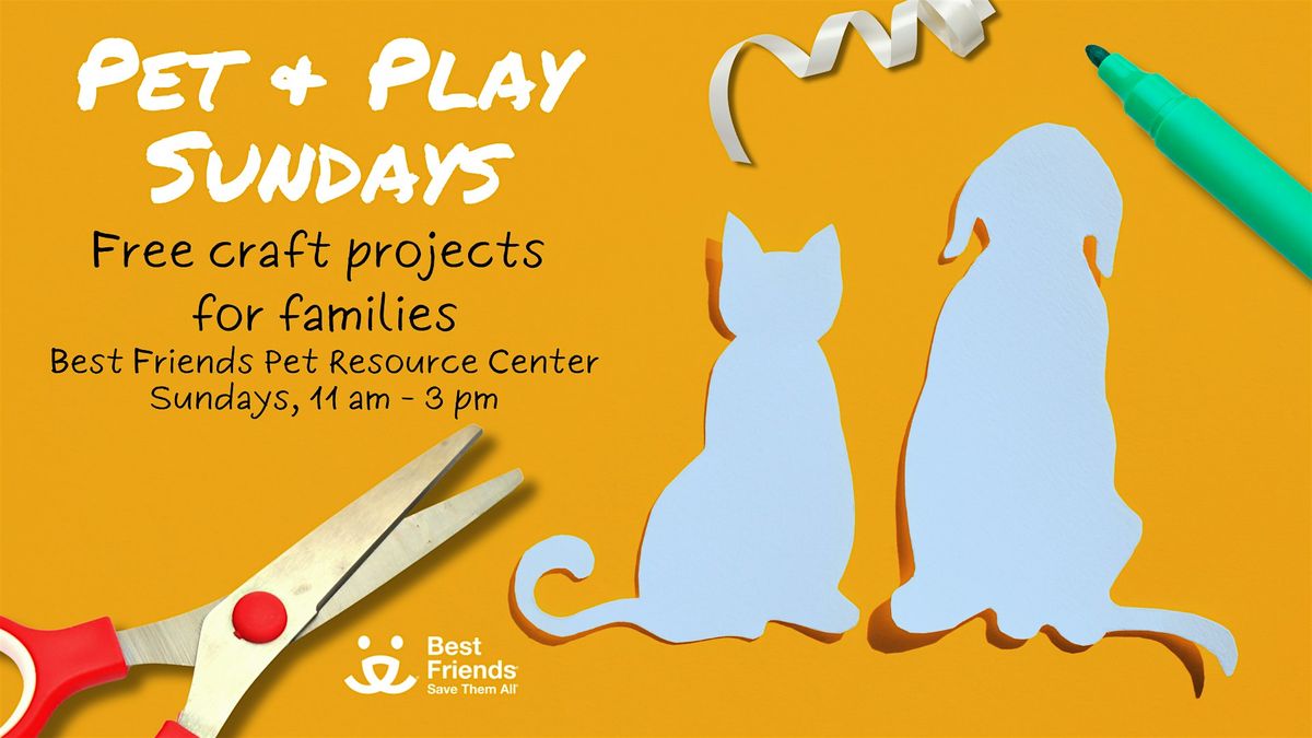 Pet & Play Sunday:  Cat Wands