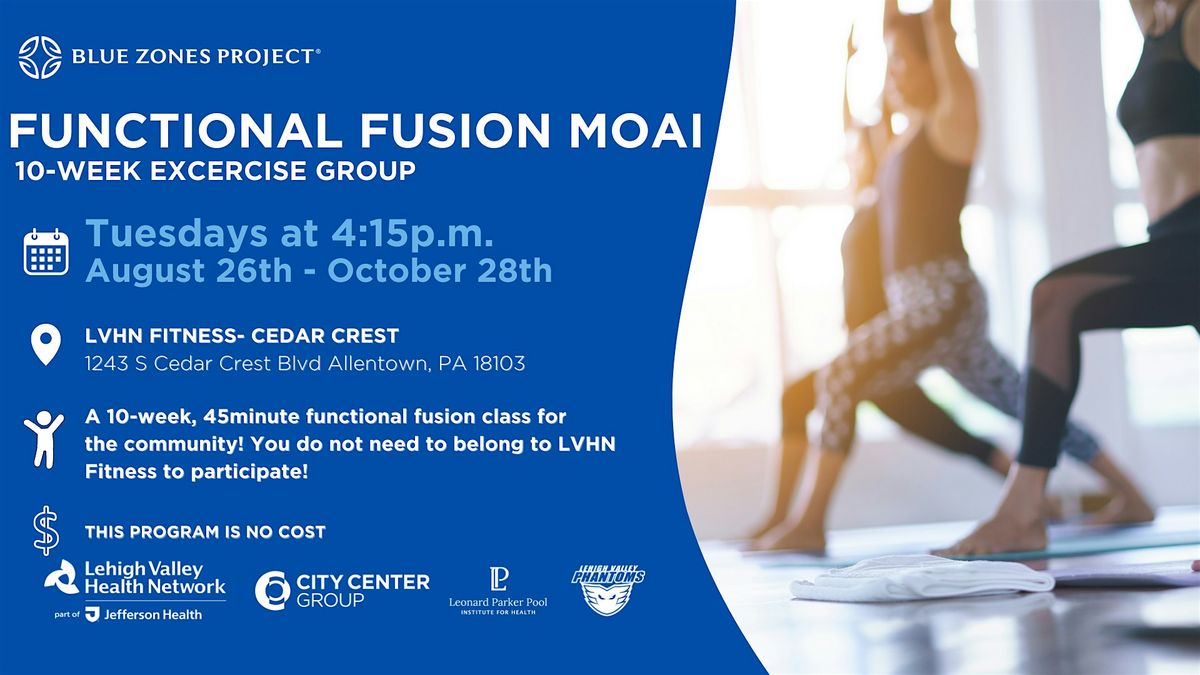BZP Allentown Functional Fusion Movement Moai
