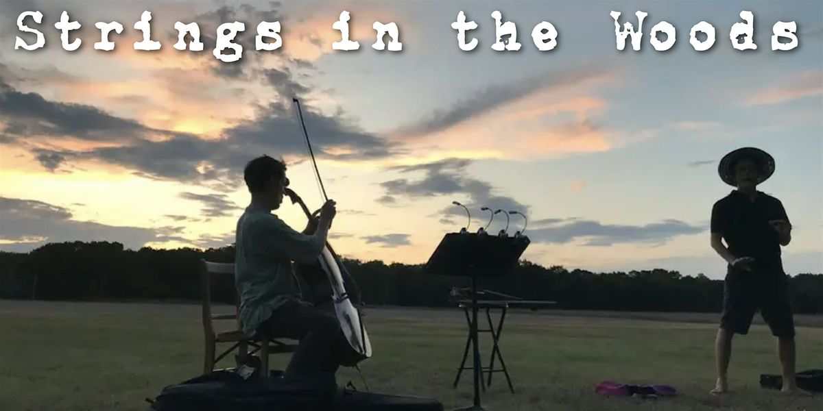 Thanksgiving Strings in the Woods w\/Award Winning Austin Violinist