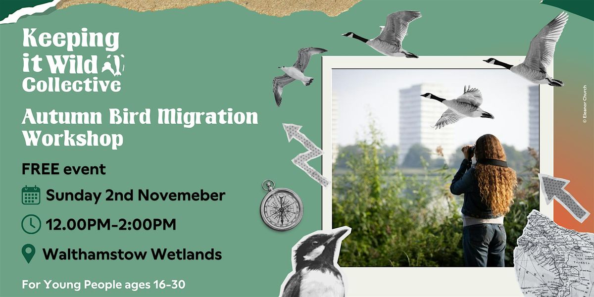 Keeping it Wild Collective: Autumn Bird Migration