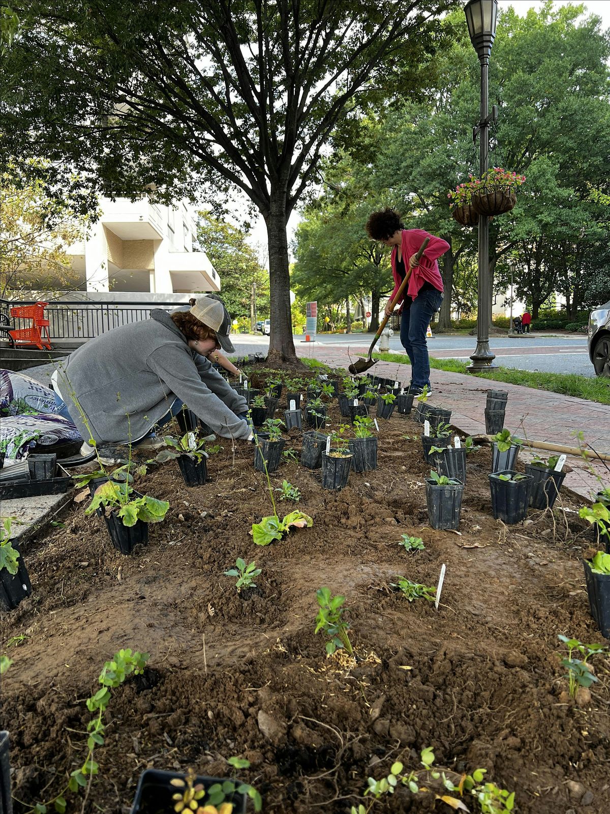 Weeding and Reading | Garden Maintenance Day