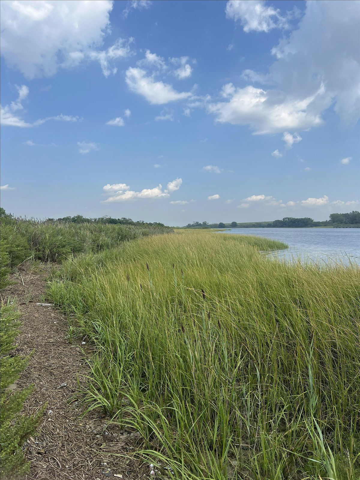 International Coastal Cleanup Day: Dubos Point Wildlife Sanctuary