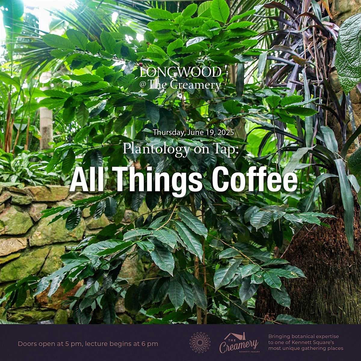 Plantology on Tap: All Things Coffee