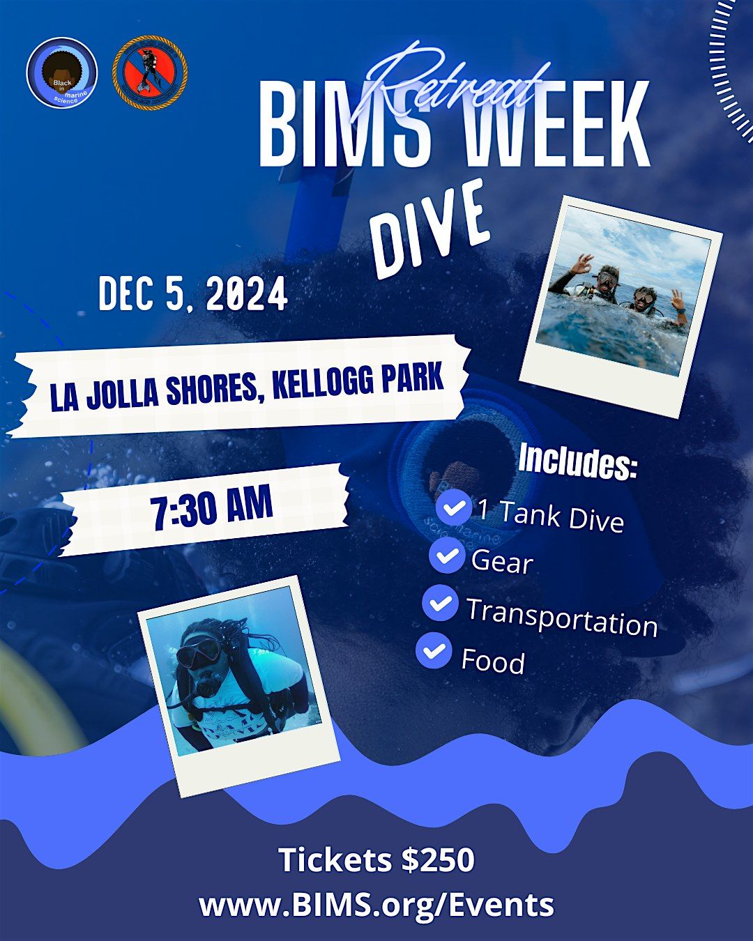 BIMS Week Dive 2024