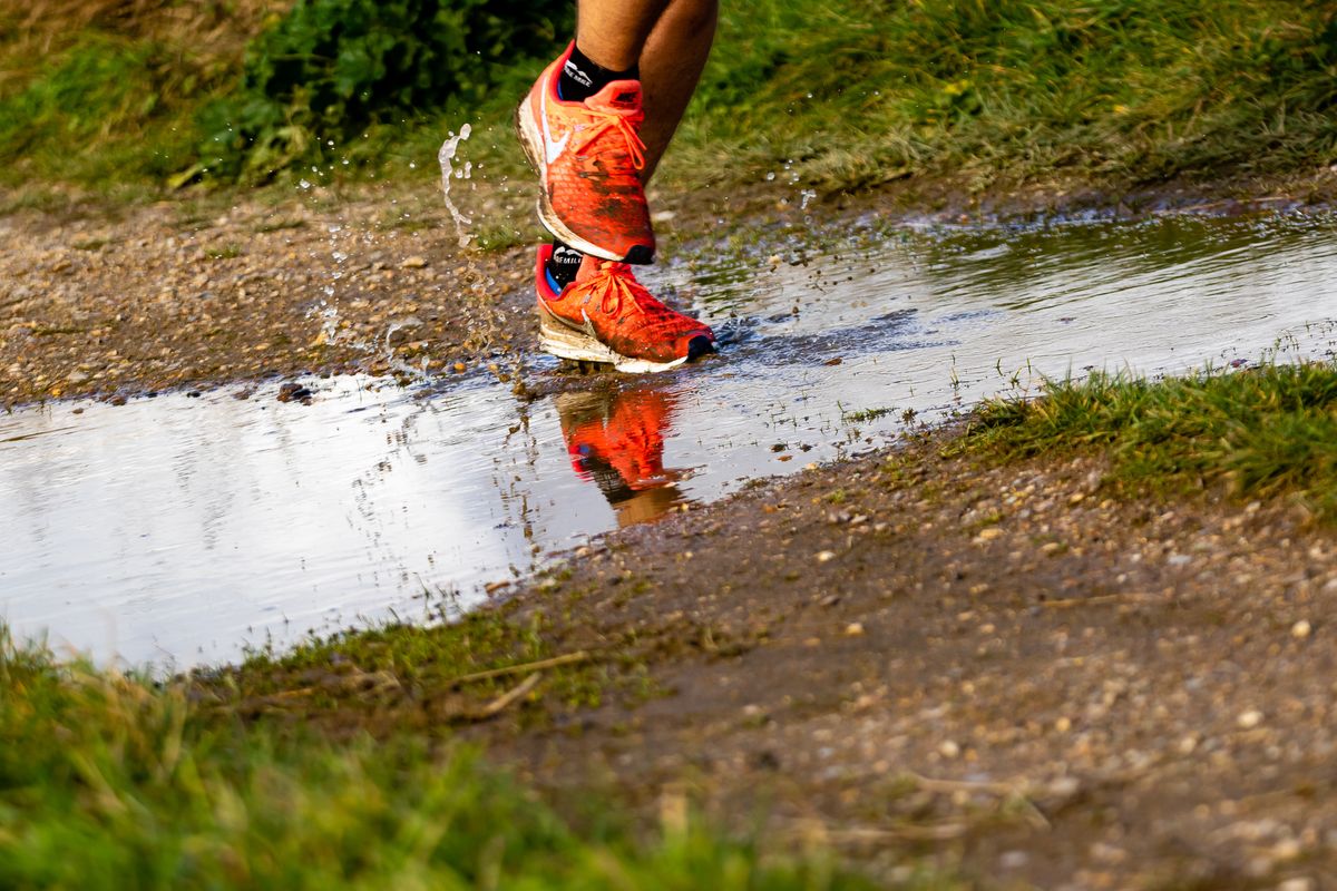 Roman River Trails Half Marathon