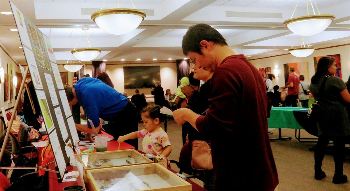 Family Friendly STEM Week Event