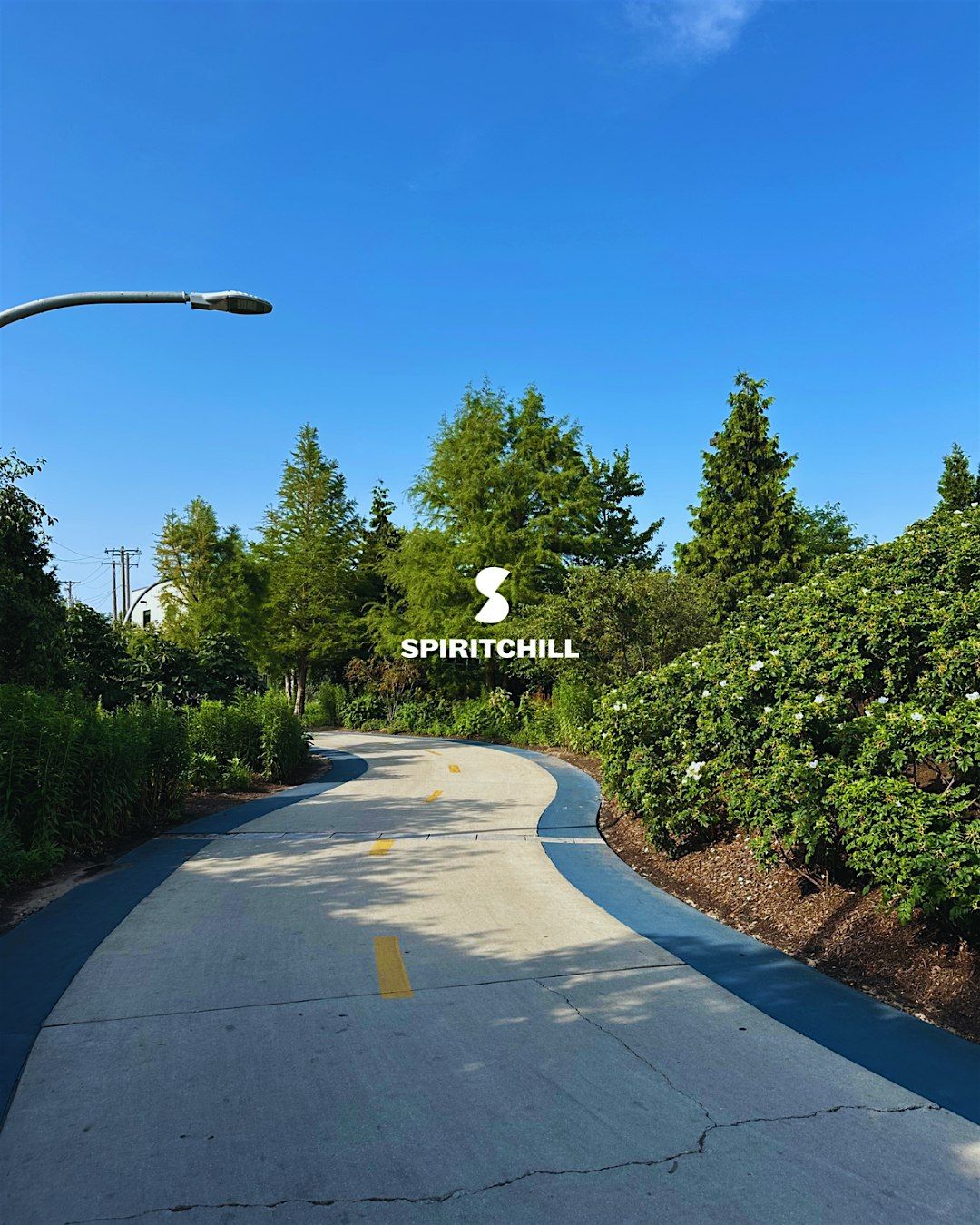 Mindful Miles with Spiritchill Wellness
