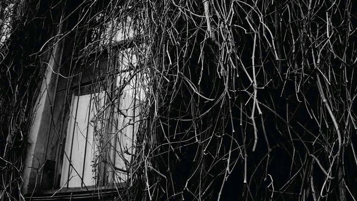 October Half Term: Haunted Midlands and Spooky Stories