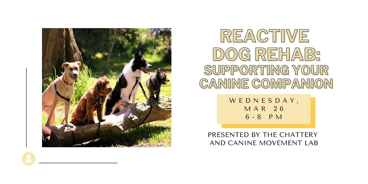 Reactive Dog Rehab: Supporting Your Canine Companion