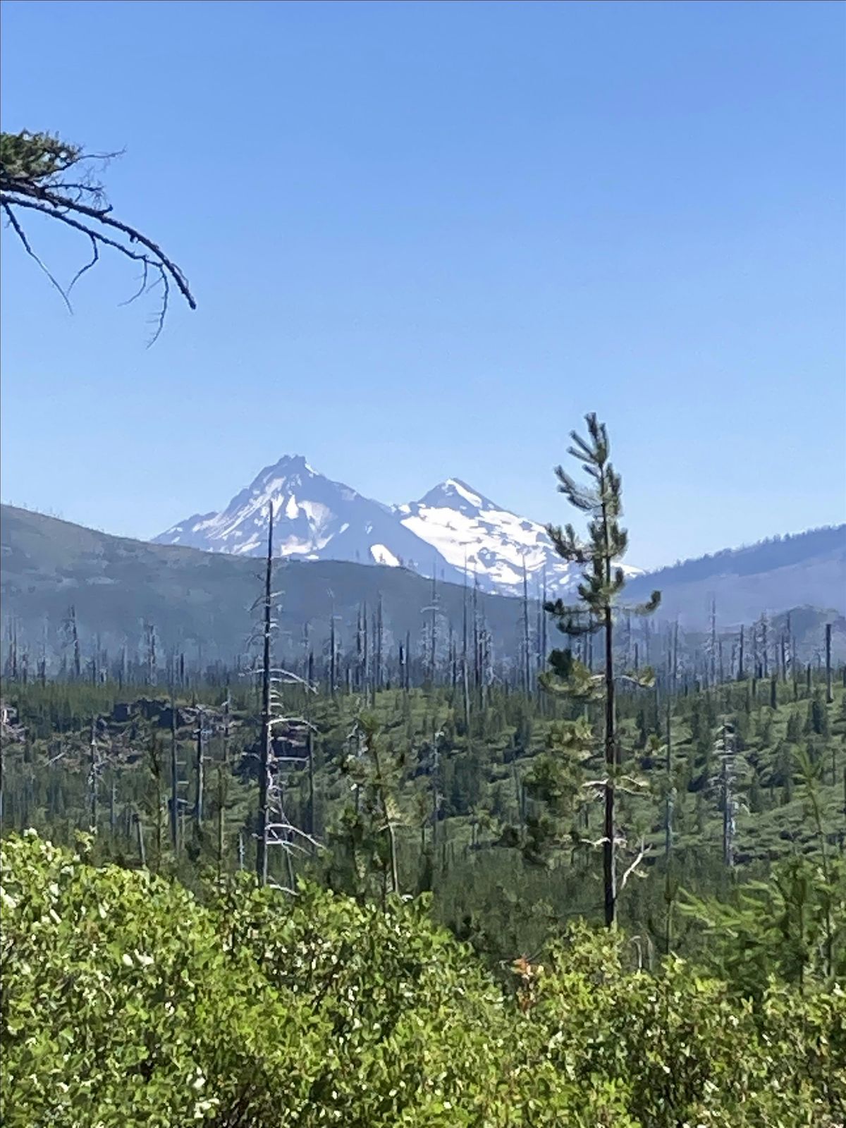 A Year to Live - a year long dive into our mortality