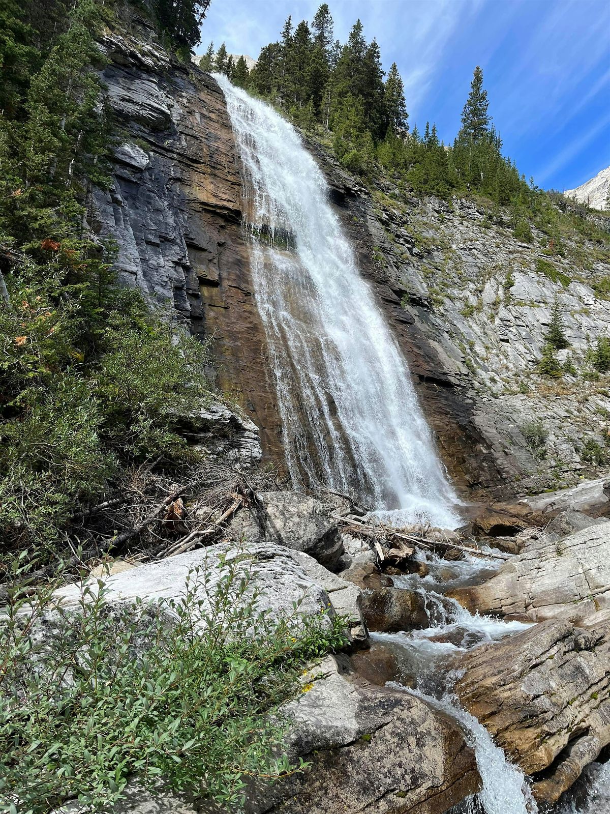 Guided hike Ribbon Creek and Ribbon Falls (4BL)