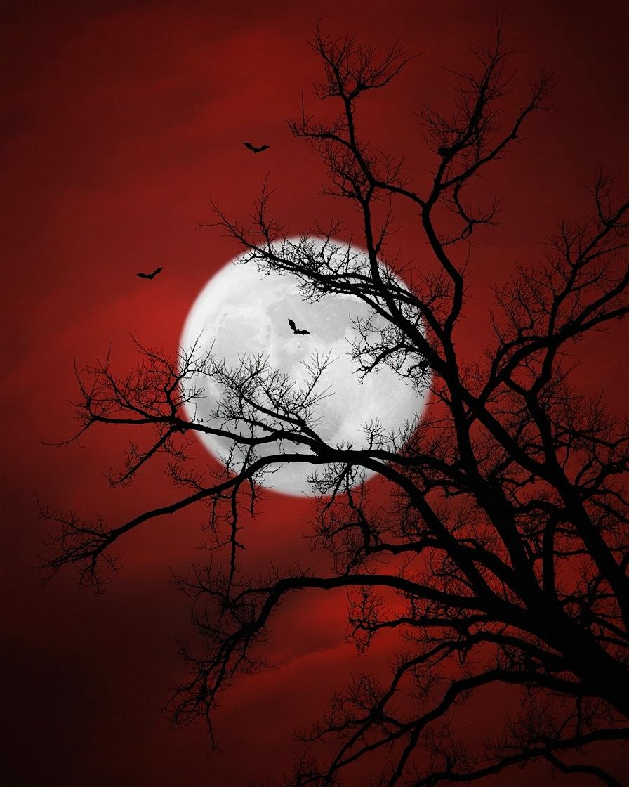 HALLOWEEN: MAROTO MAYFAIR