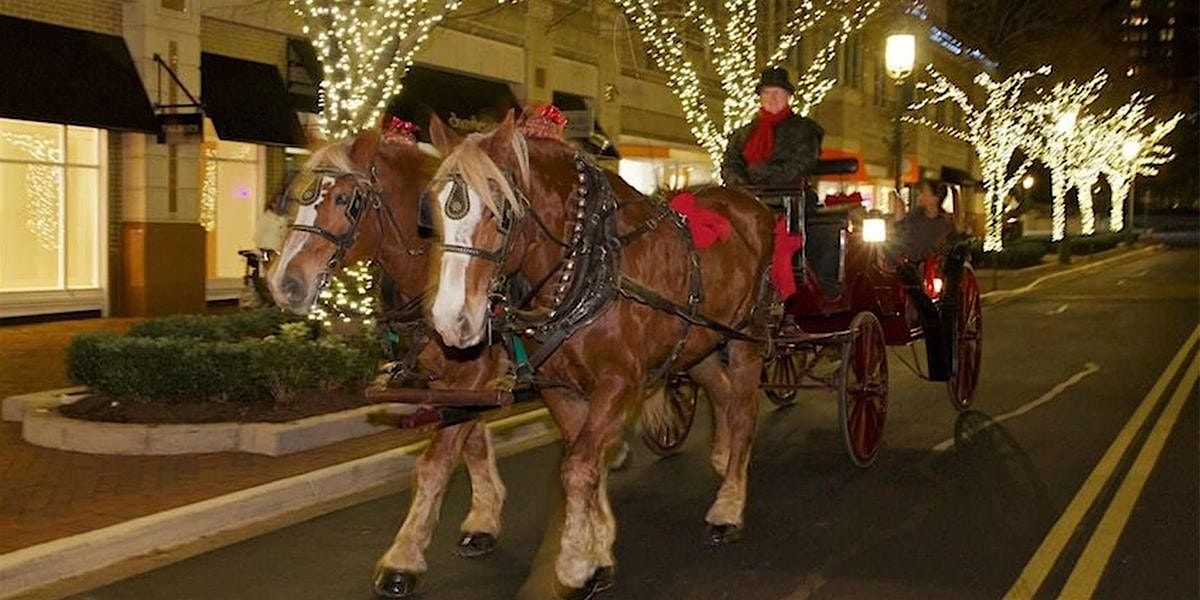 Valentine's Carriage Rides at Reston Town Center 2025