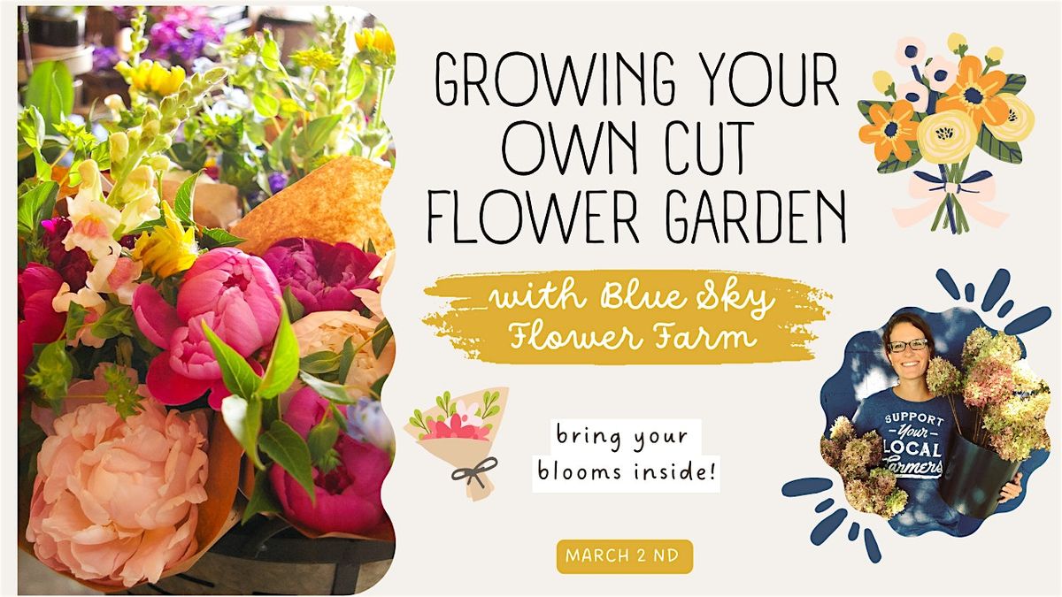 Growing a Cut Flower Garden with Blue Sky Flowers