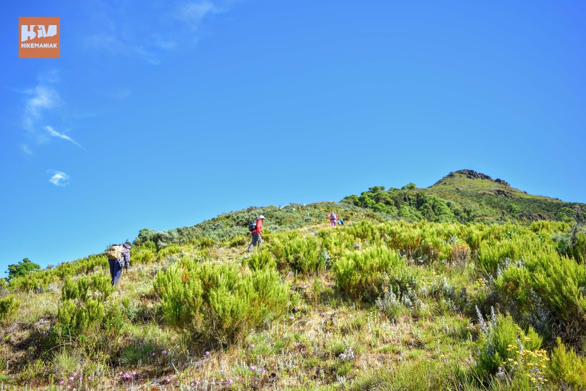 Hikemaniak Rurimeria Table Mountain Traverse