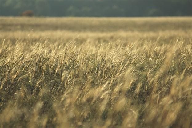 Clemson Cooperative Extension Sustainable Agriculture Series: Day 1