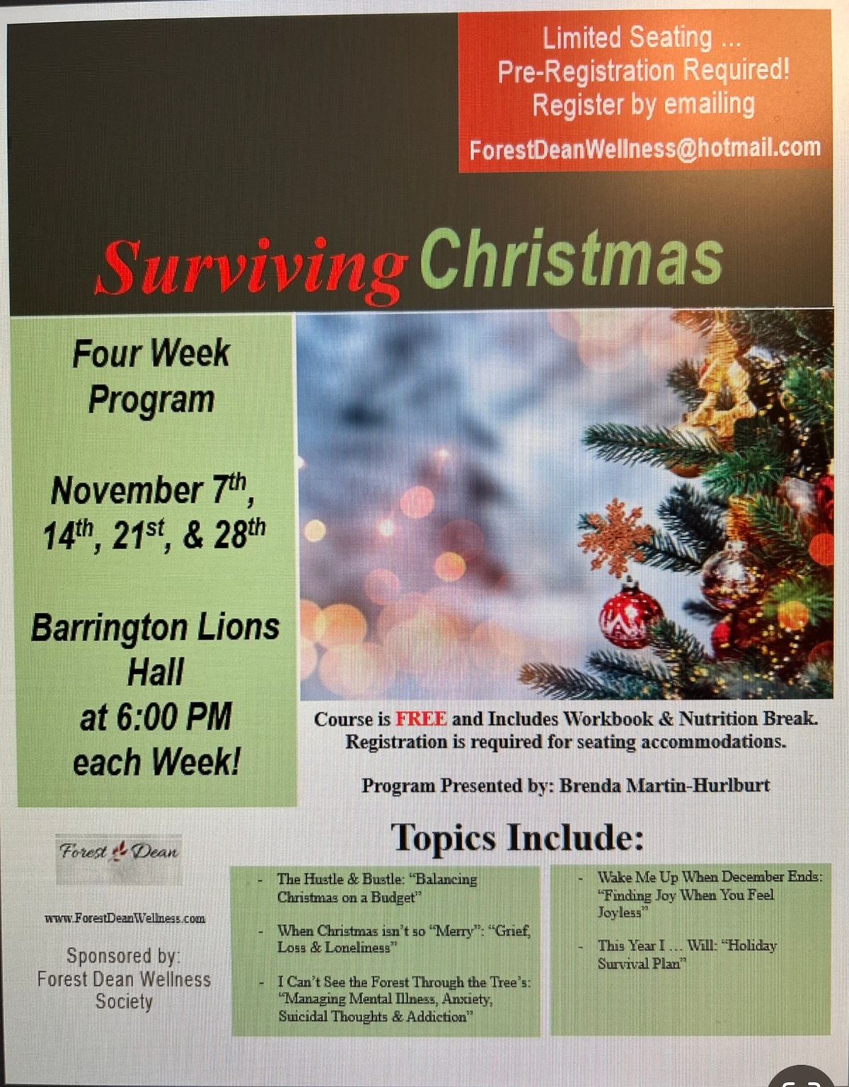 Surviving Christmas 