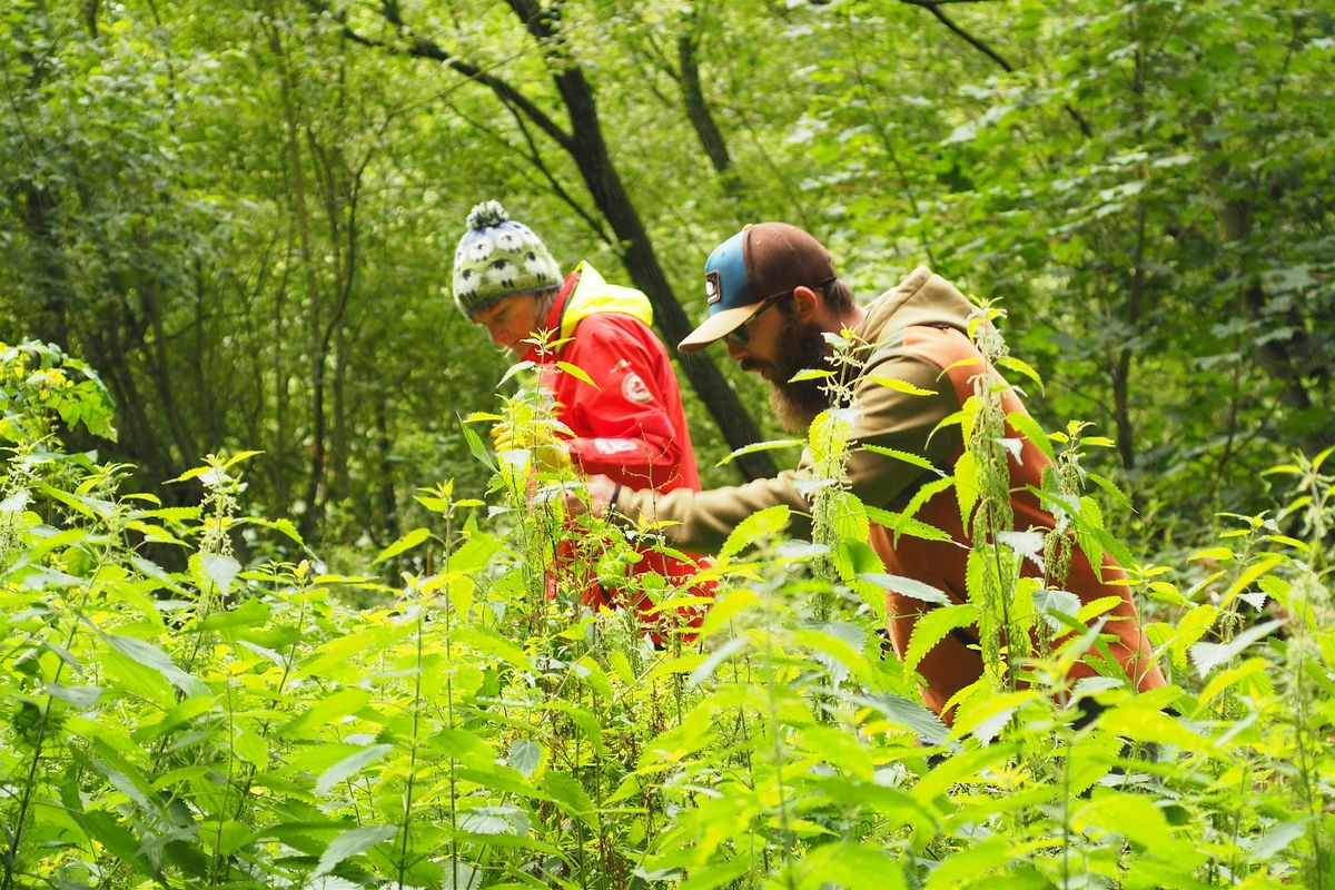 Foraging Course in the Lake District