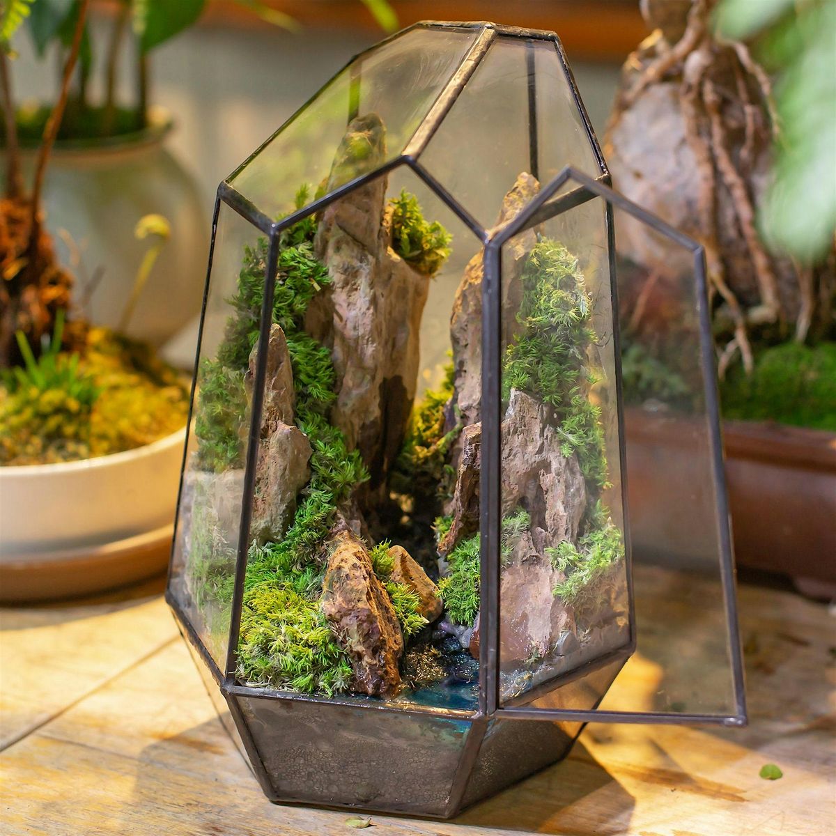 Hands-On Wine and Crafts: Succulent Terrarium with Villa Succulents