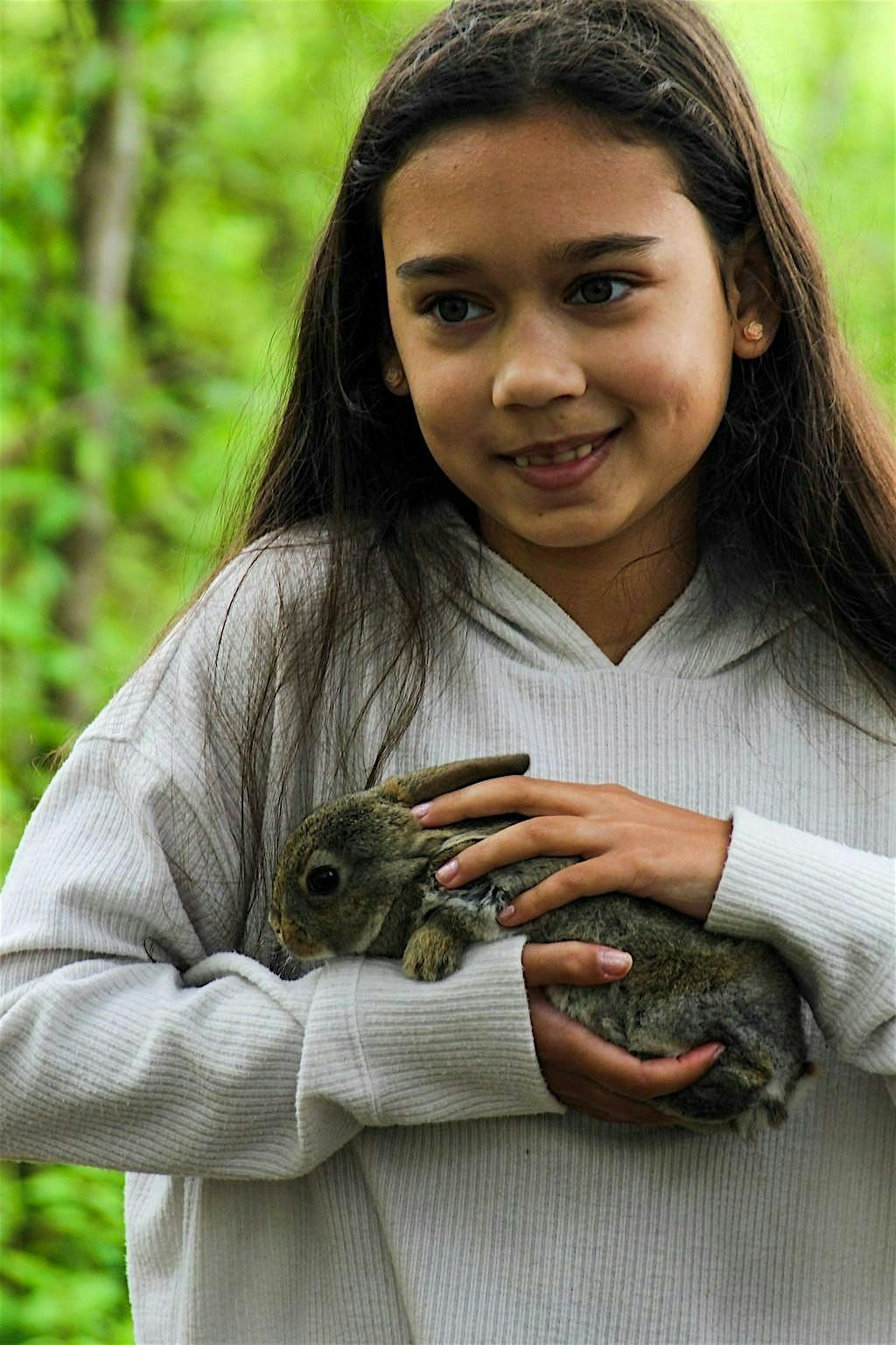 Homestead Rabbits: Start to Finish