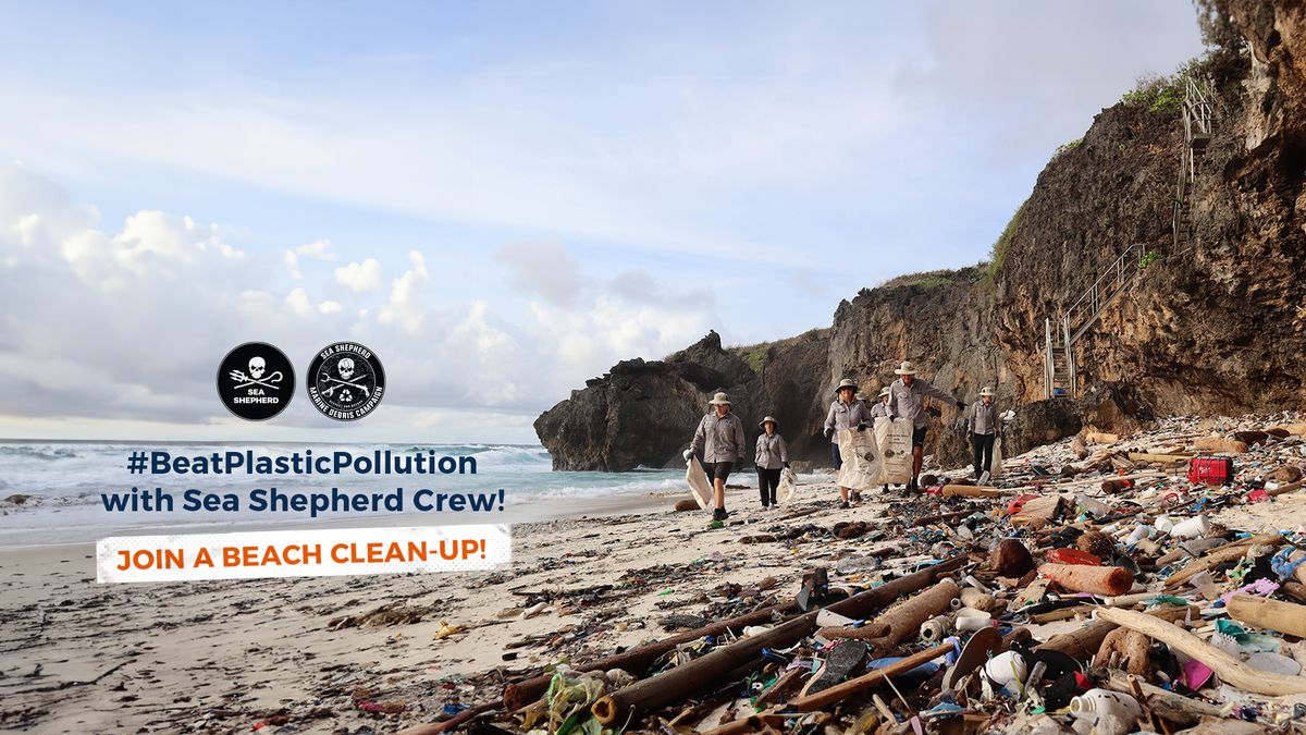 Darwin, NT: Casuarina Beach clean-up: Sea Shepherd Australia Marine Debris Campaign 