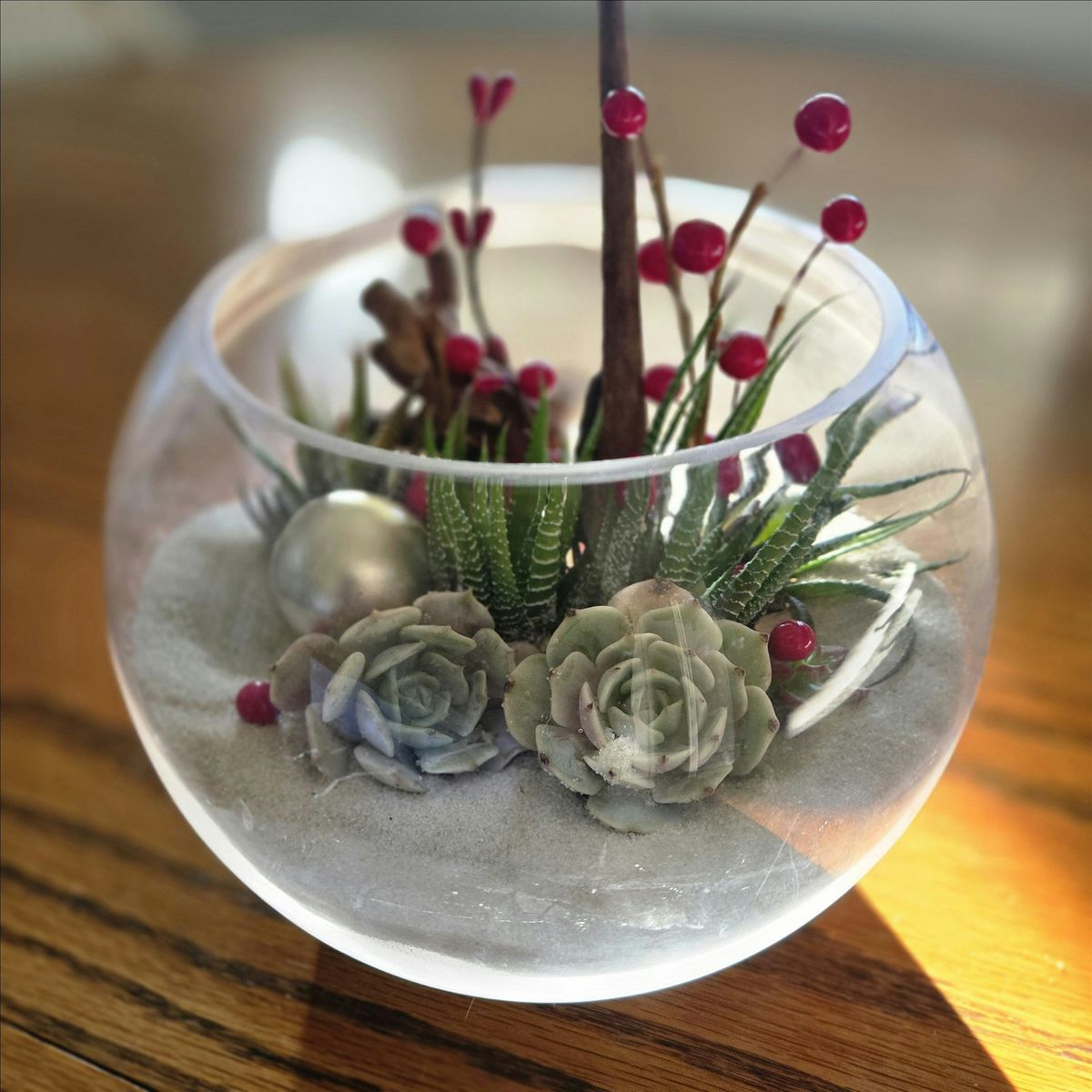 Hands-On Wine & Crafts: Holiday Succulent Terrarium with Villa Succulents