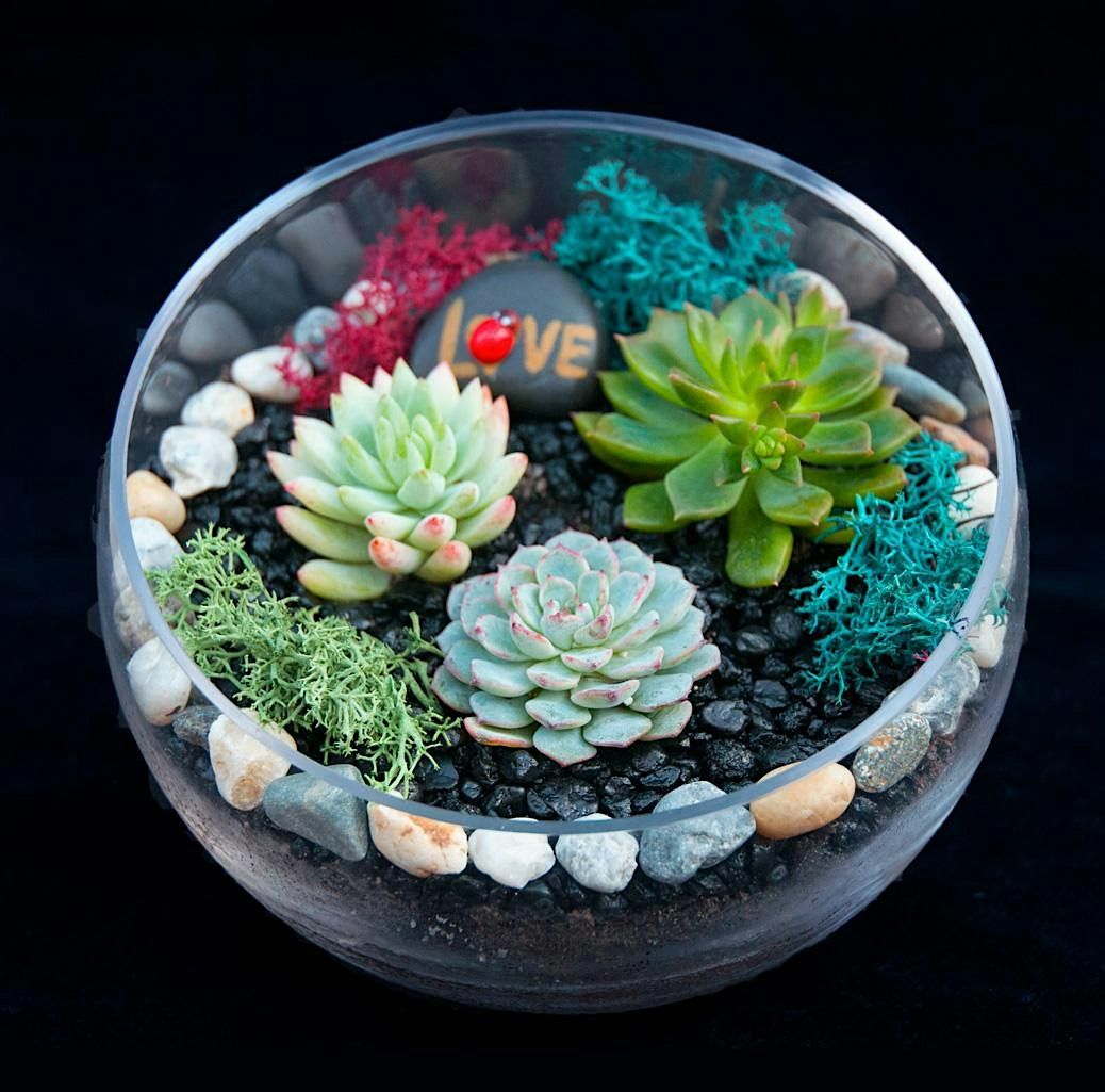 Family Plant Party: Make a Succulent Terrarium