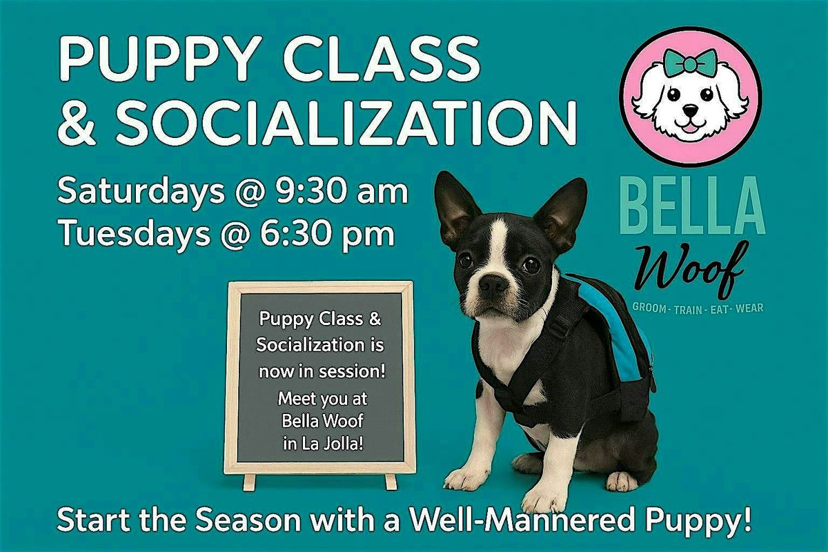 Puppy Training & Socialization Classes