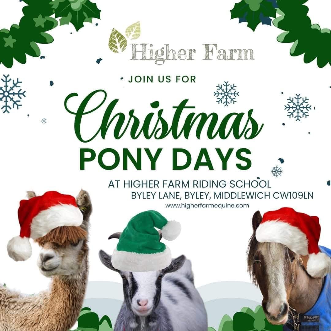 Christmas Pony Day 