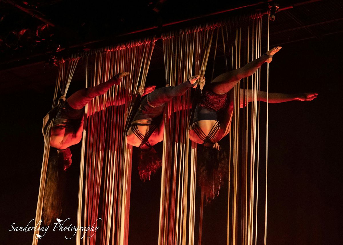 Moonlight Masquerade - Youth Performers