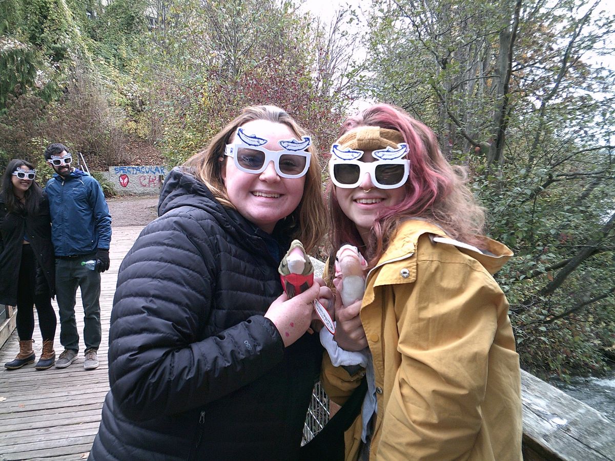 Salmon Sighting at Chuckanut Creek with NSEA and WLT