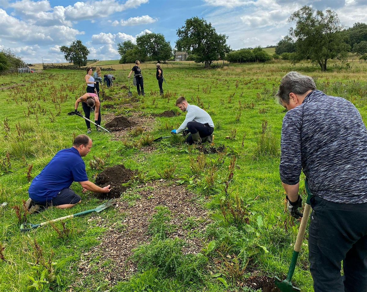 BioHub Farm  - Circular and Regenerative Workshop Series