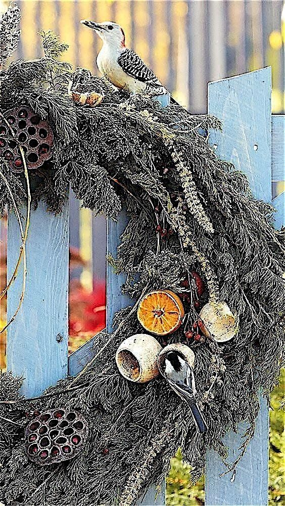 Rewilding Ritual Evening ~ Yule Bird Feeder Wreath
