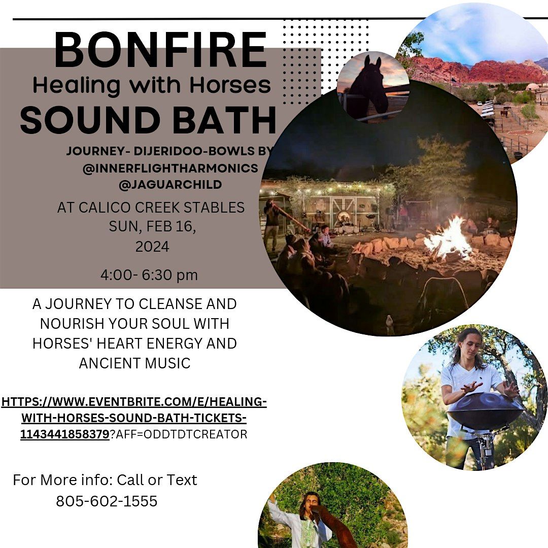 Healing With Horses Sound Bath Bonfire