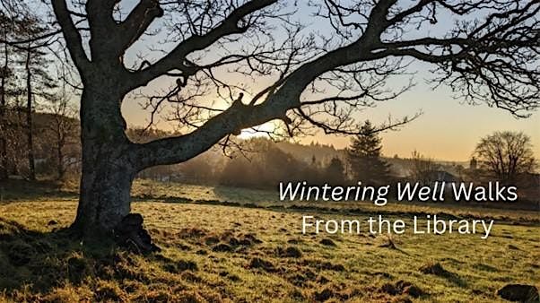 Wintering Well Walk