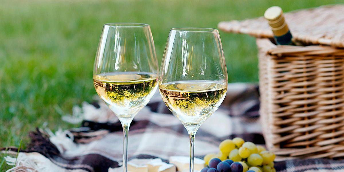Summer Wine Tasting