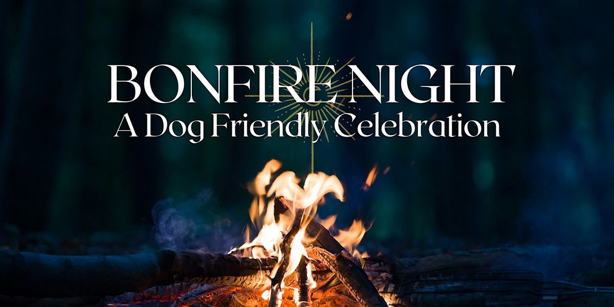 Bonfire Night - A Dog Friendly Celebration