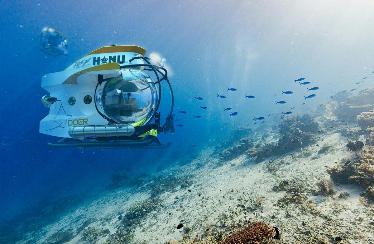 Engineering Hope: From Bay Waters to a World Mapped in Hope Spots