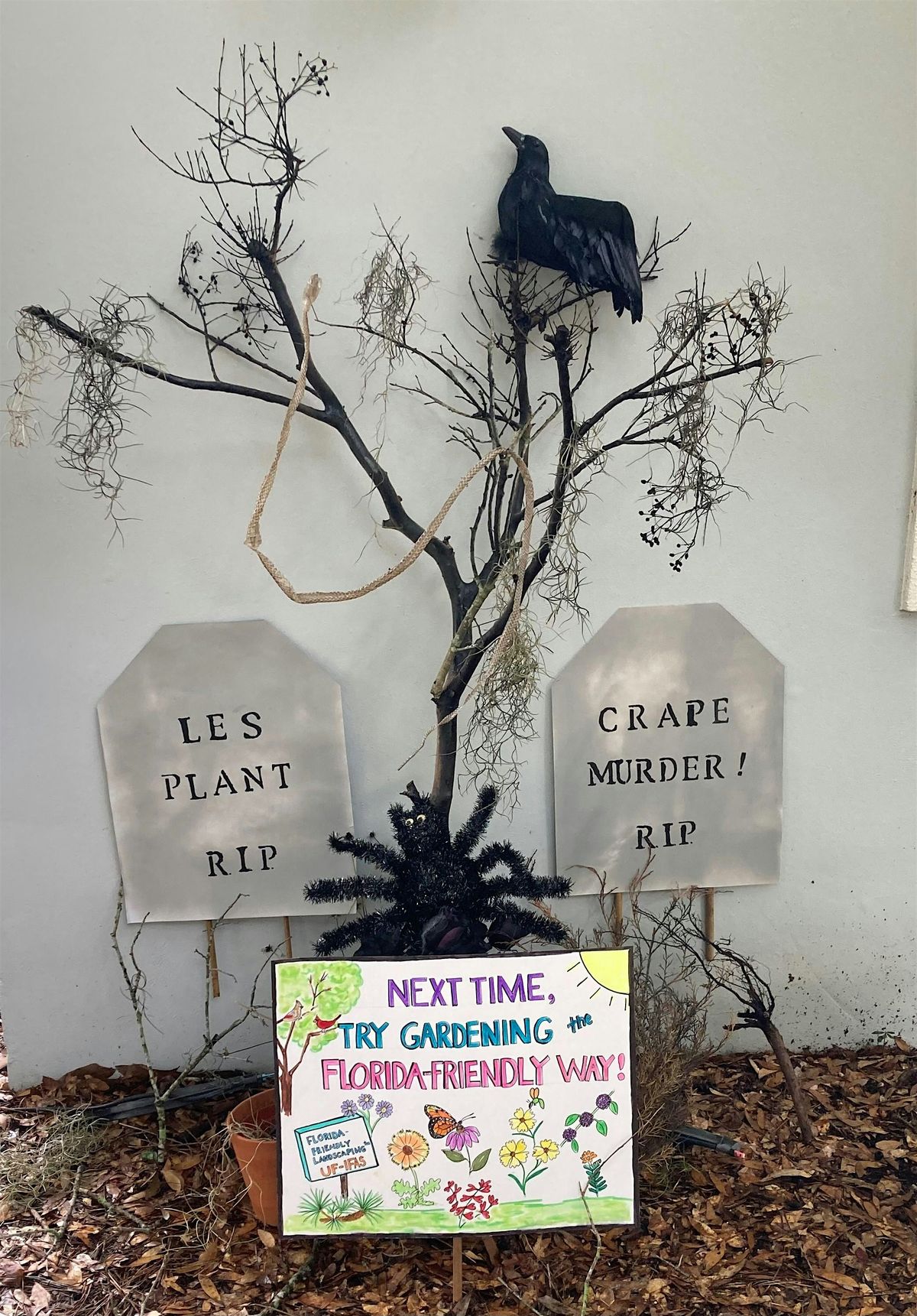 Plants That Haunt: Creating a Spooky Season Garden