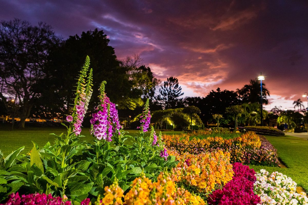 Twilight Tours of Laurel Bank