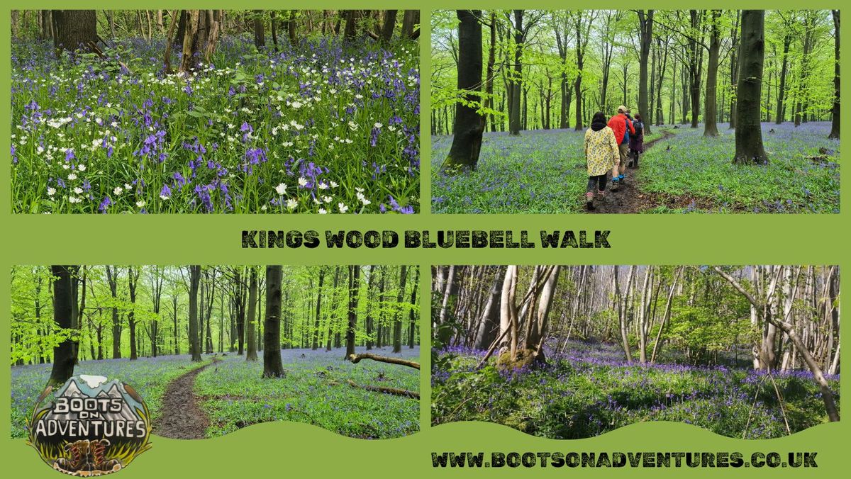 Kings Wood Bluebell Walk