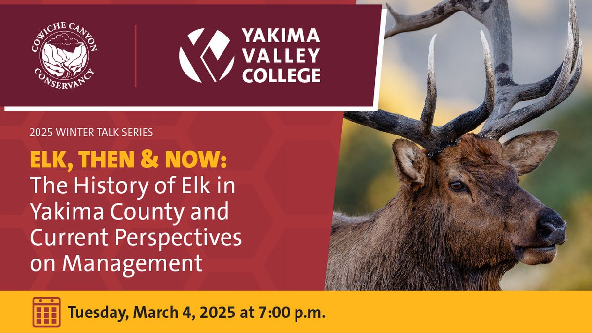 Elk, Then & Now: The History of Elk in Yakima County and Current Perspectives on Management