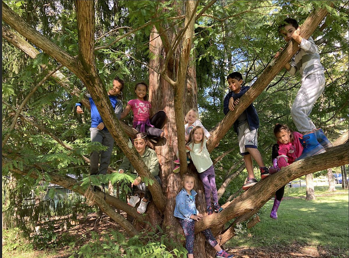 Nature Adventures Camp - GeoVentures in Mt. Airy