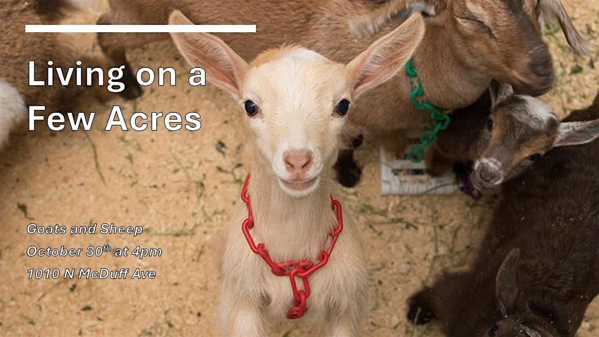 Living on a Few Acres: Goats and Sheep (in-person & Zoom)