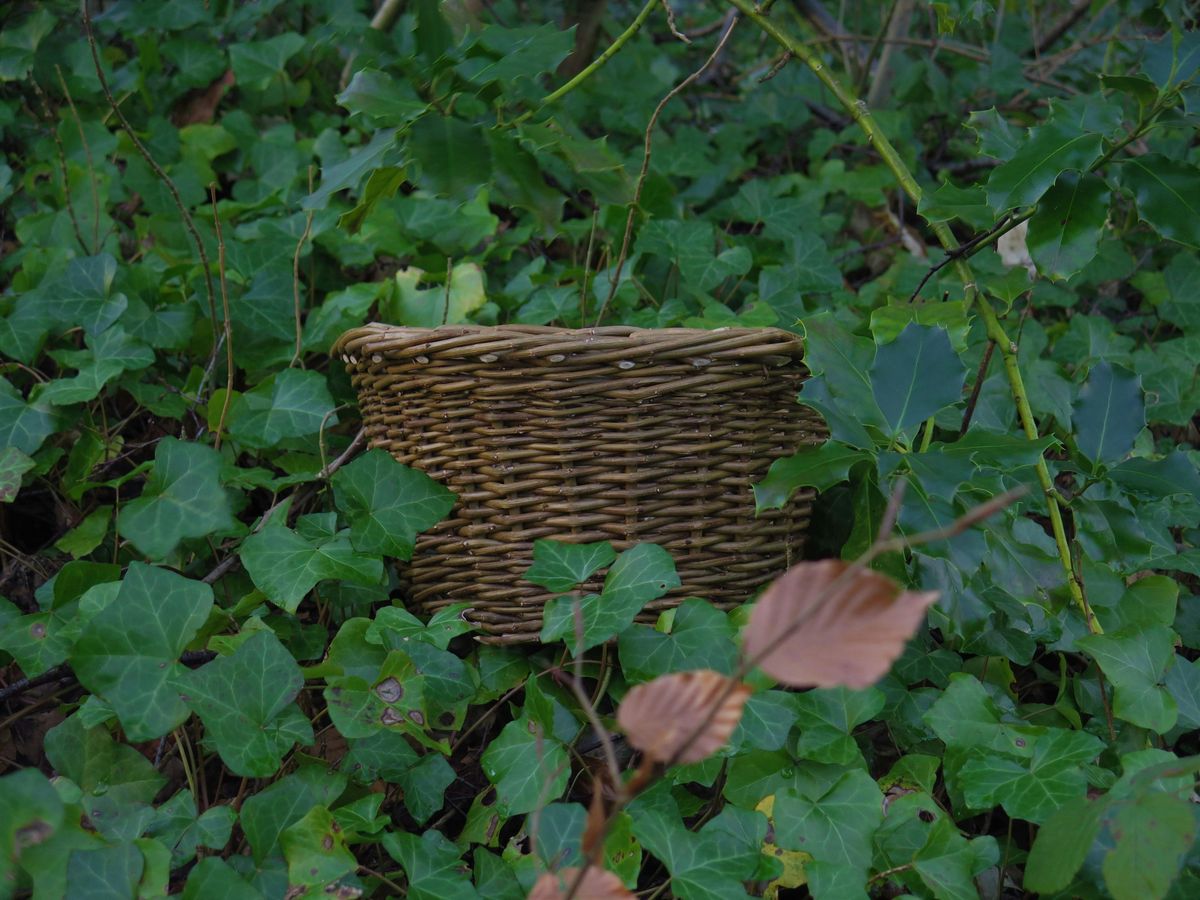 Little Ireland Workshop Day ~ Ceardlanna is Comhluadar