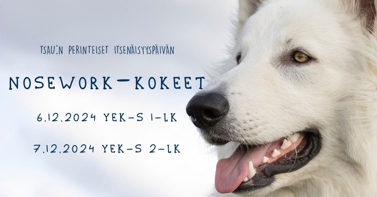 Nosework-kokeet 6.-7.12.2024