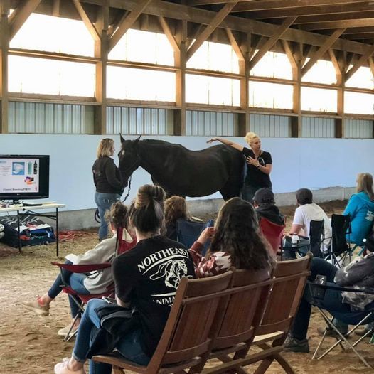 EquiAid Equine First Aid Certification and Training Class Las Vegas, NV