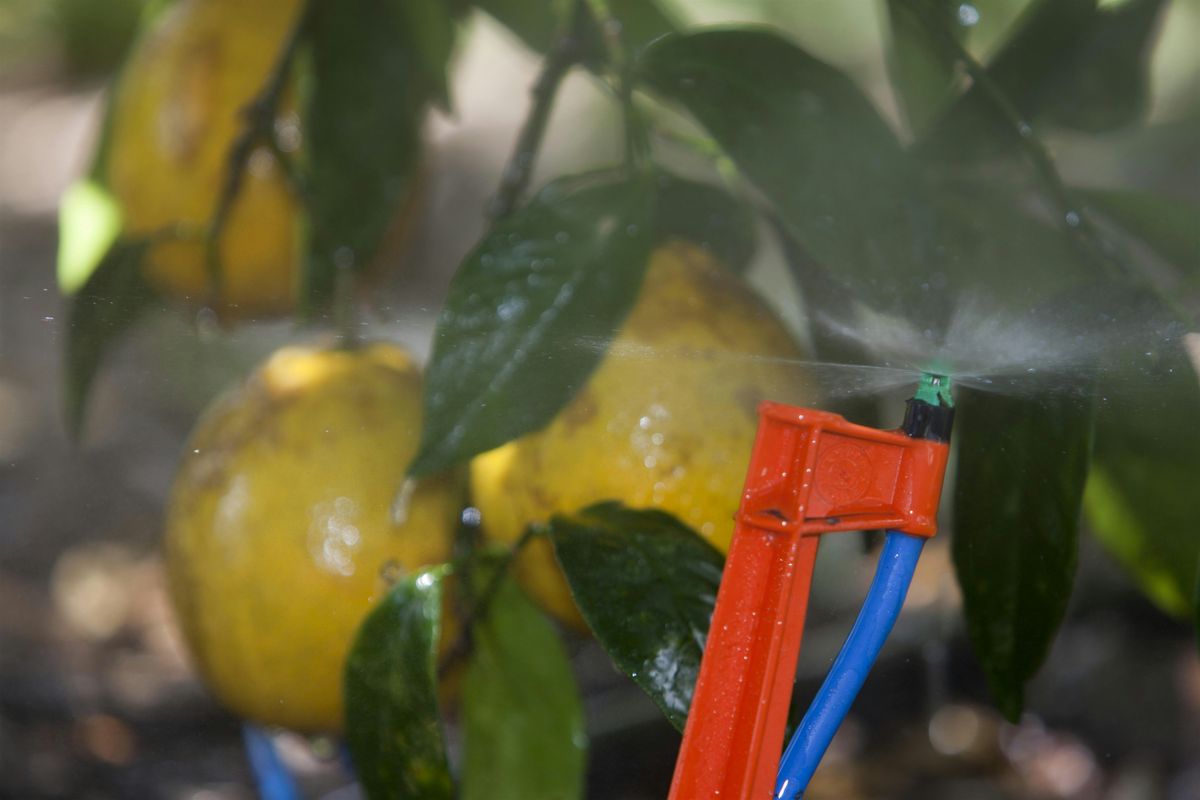 De-Mystifying Micro-Irrigation